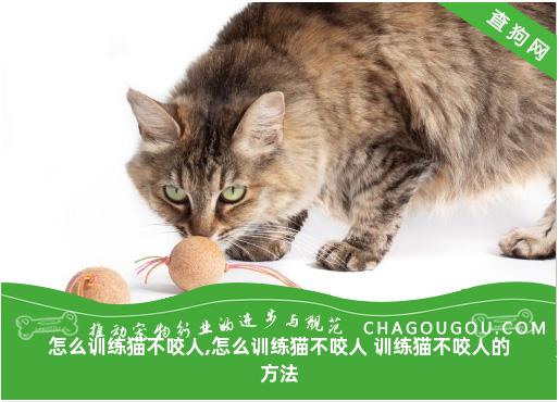 怎么训练猫不咬人,怎么训练猫不咬人 训练猫不咬人的方法